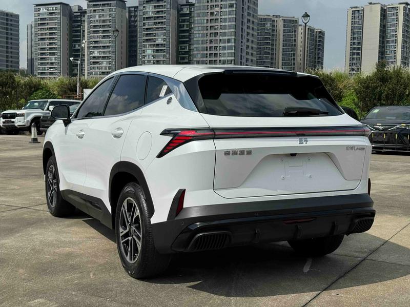 Jetour Shanhai L6, 2025 — фото 4 из 12