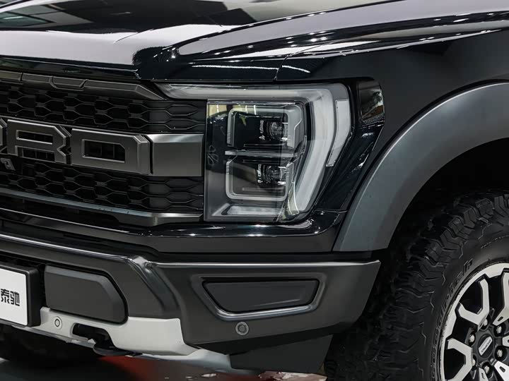Ford F-150 Raptor, 2023 — фото 8 из 9