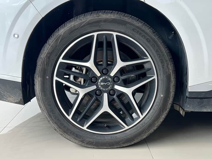 BYD Seal 06 Hybrid/EV, 2025 — фото 9 из 9