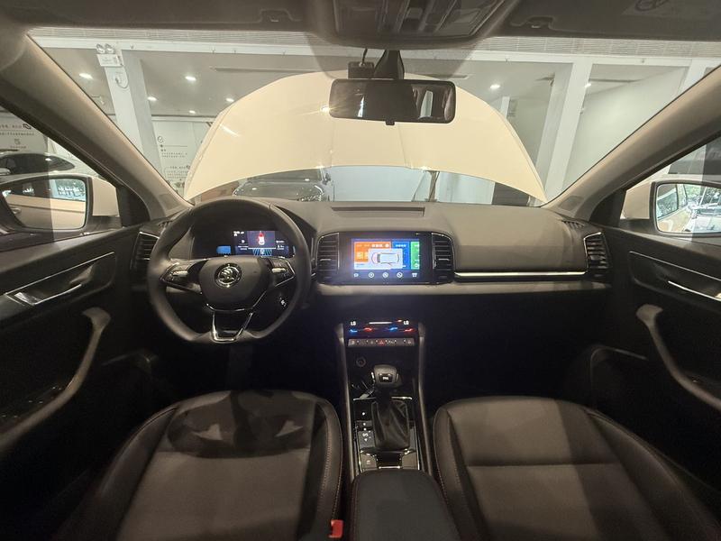 Skoda Karoq, 2022 — фото 8 из 12