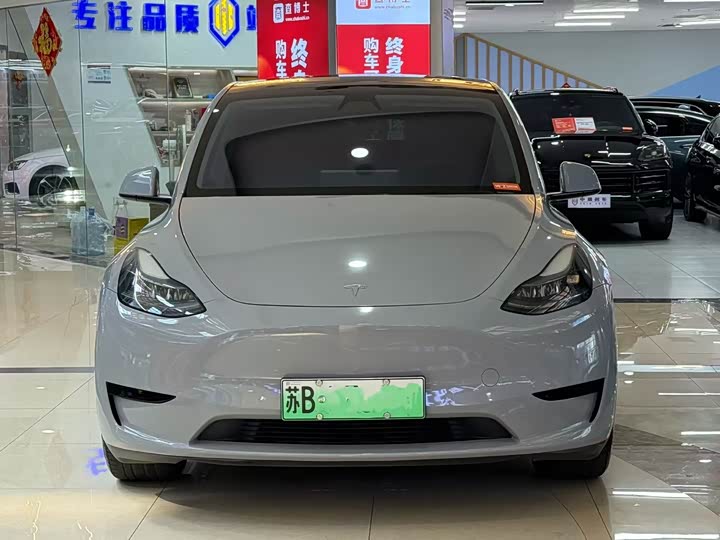 Tesla Model Y, 2021 — фото 4 из 9