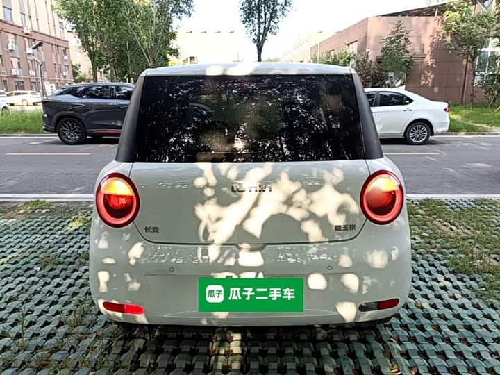 Changan Qiyuan (Nevo) Lumin, 2024 — фото 6 из 9