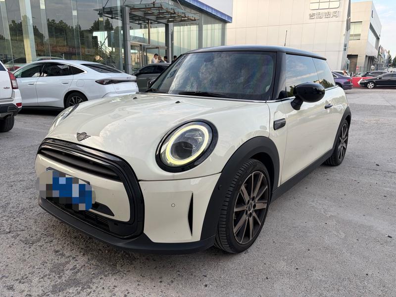 Mini Mini, 2022 — купить в Саратове под ключ