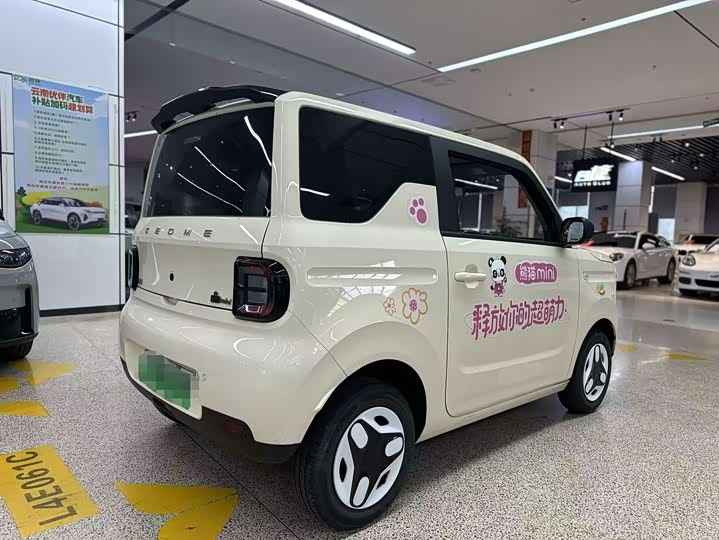 Geely Galaxy Panda Mini, 2025 — фото 4 из 9