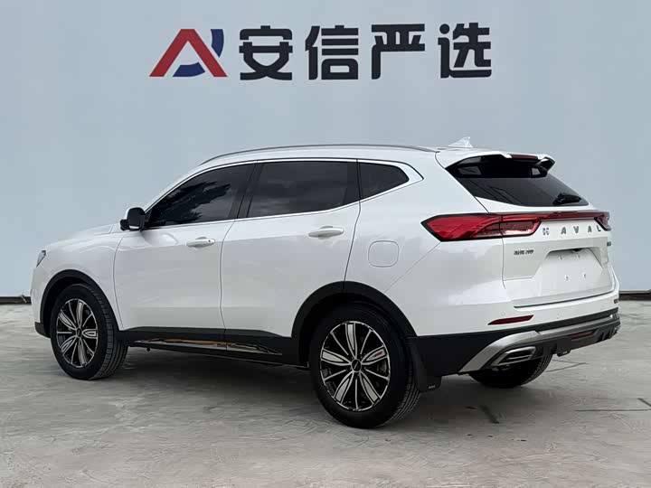Haval H6, 2023 — фото 6 из 9