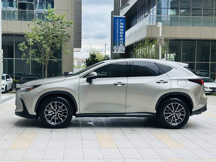 Lexus NX, 2023 — фото 4 из 9