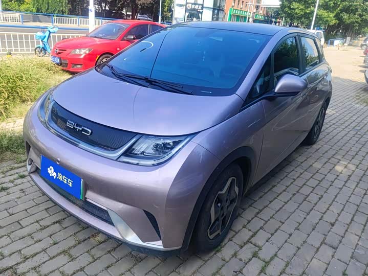 BYD Dolphin, 2022 — купить в Москве под ключ