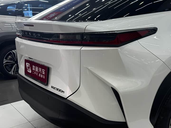 Lexus RZ, 2023 — фото 8 из 9