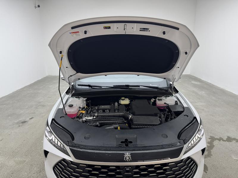 BYD Qin Plus, 2025 — фото 12 из 12