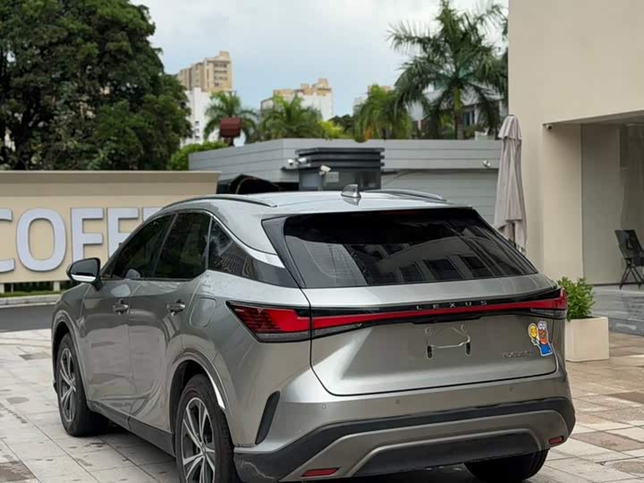 Lexus RX, 2024 — фото 9 из 9