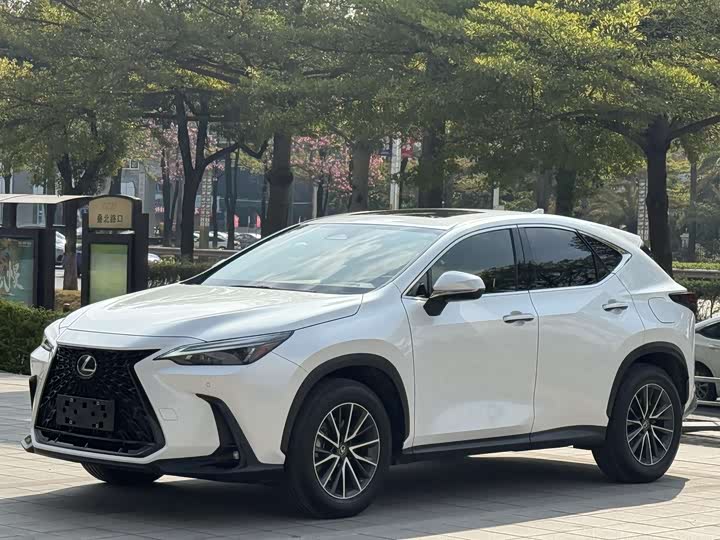 Lexus NX, 2021 — купить в Самаре под ключ