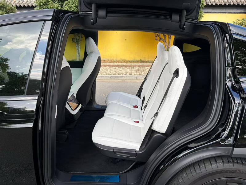 Tesla Model X, 2023 — фото 7 из 8