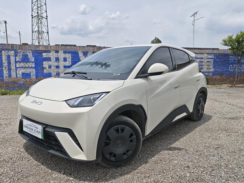 BYD Seagull, 2023 — купить в Самаре под ключ