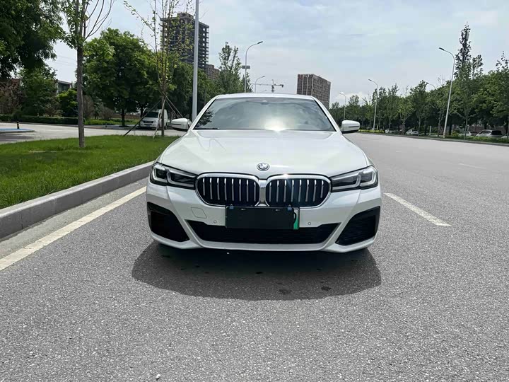BMW 5 Series Hybrid, 2021 — фото 2 из 9