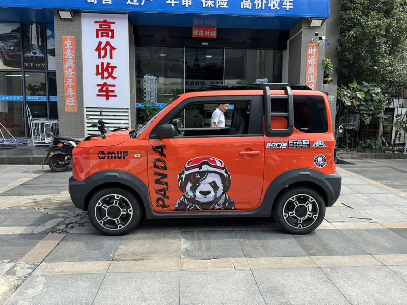 Geely Galaxy Panda Mini, 2024 — фото 4 из 12