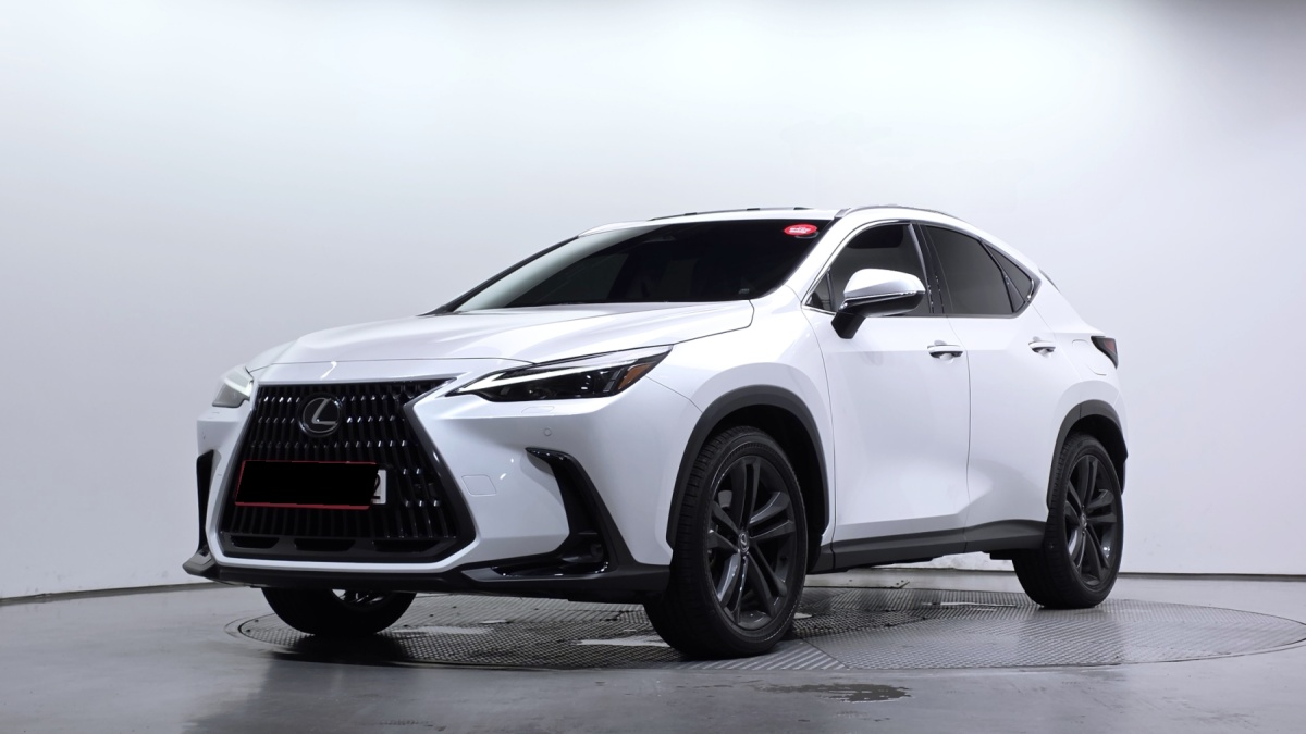 Lexus NX, 2024 — купить в Йошкар-Оле под ключ