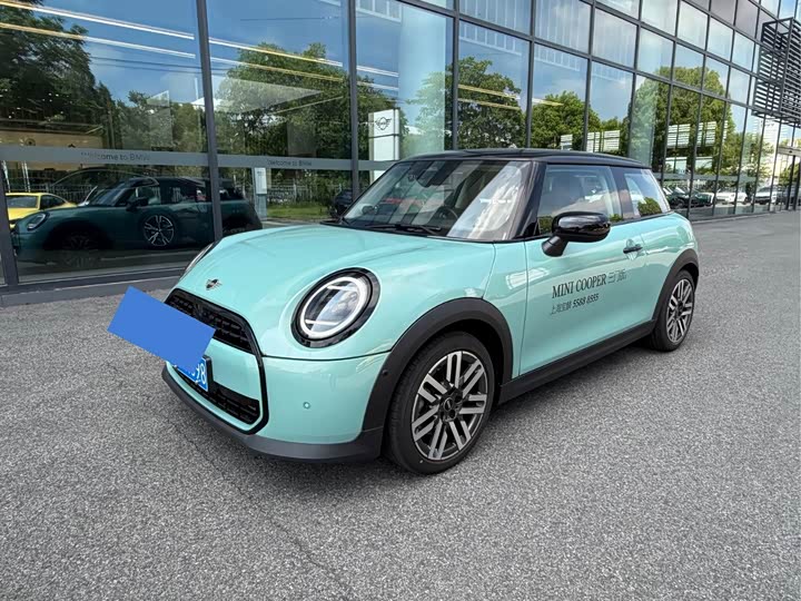 Mini Mini, 2024 — купить в Самаре под ключ