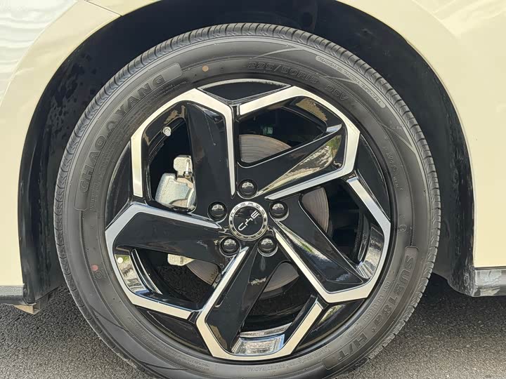 BYD Seal 06 Hybrid/EV, 2025 — фото 9 из 9