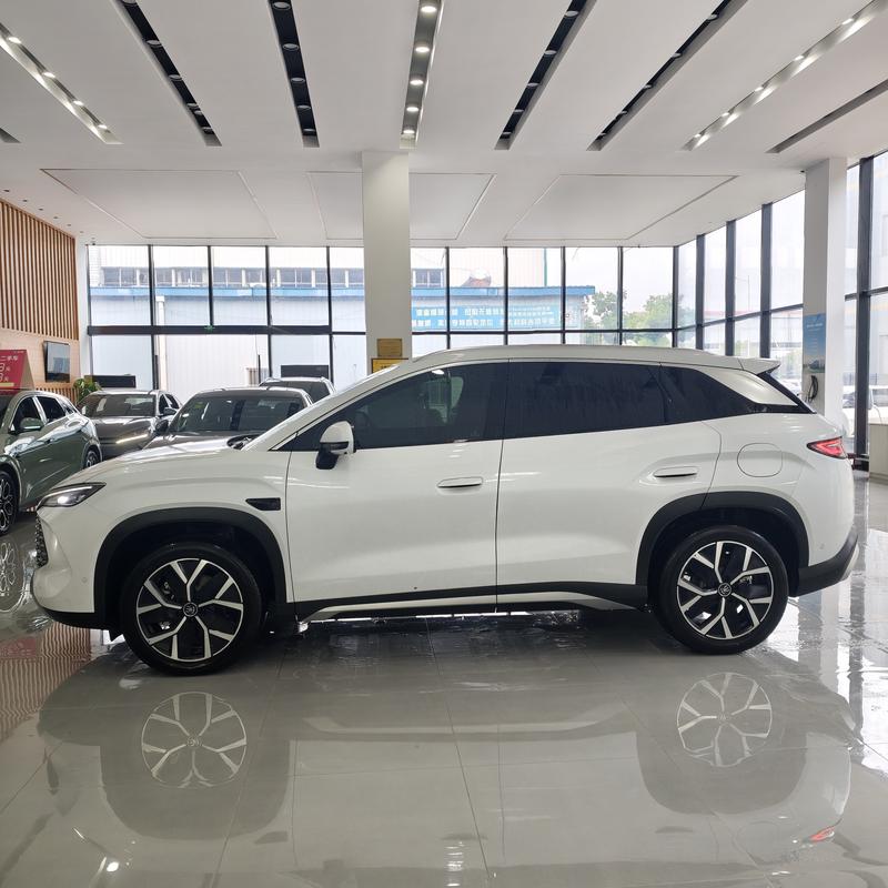 BYD Song L DM-i Hybrid, 2025 — фото 3 из 12