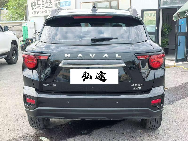 Haval H-Dog, 2023 — фото 5 из 9