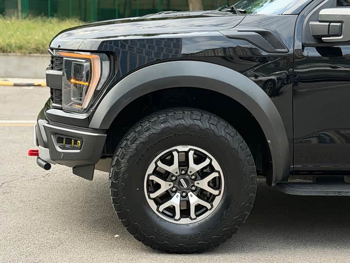 Ford F-150 Raptor, 2024 — фото 6 из 9