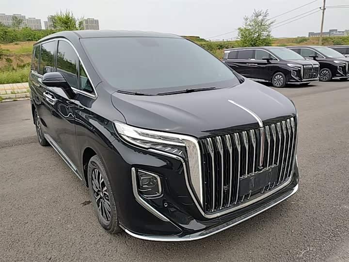 Hongqi HQ9 Hybrid, 2024 — фото 4 из 9