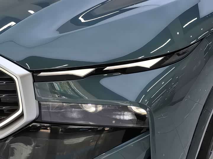 BMW XM, 2025 — фото 8 из 9