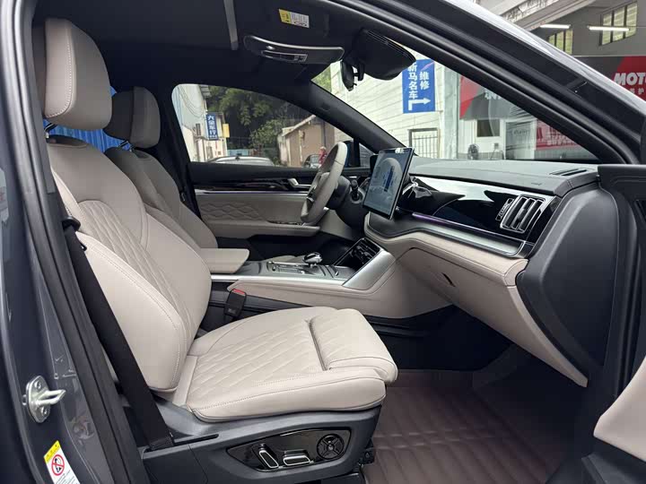 BYD Tang Hybrid/EV, 2024 — фото 6 из 9
