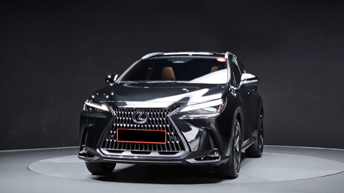 Lexus NX, 2025 — фото 3 из 12