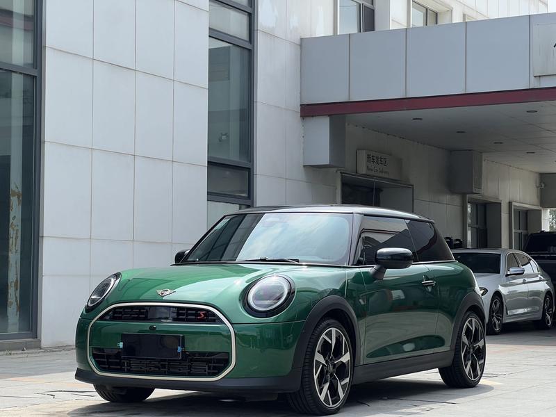 Mini Mini, 2025 — купить в Рязани под ключ