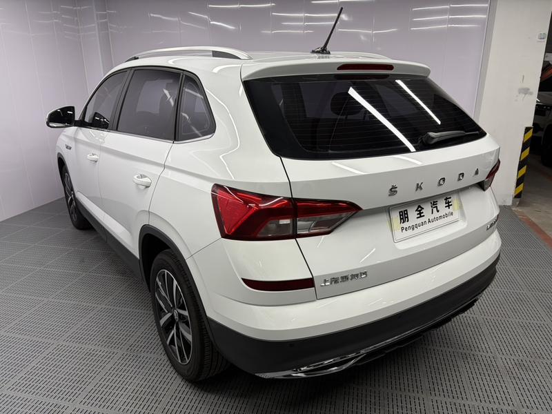 Skoda Kamiq, 2023 — фото 4 из 12