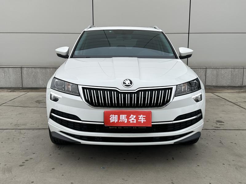 Skoda Karoq, 2024 — фото 2 из 11