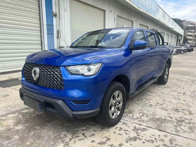 Great Wall Pao, 2021 — купить в Санкт-Петербурге под ключ