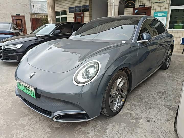 Ora Lightning Cat (07), 2022 — купить в Белгороде под ключ
