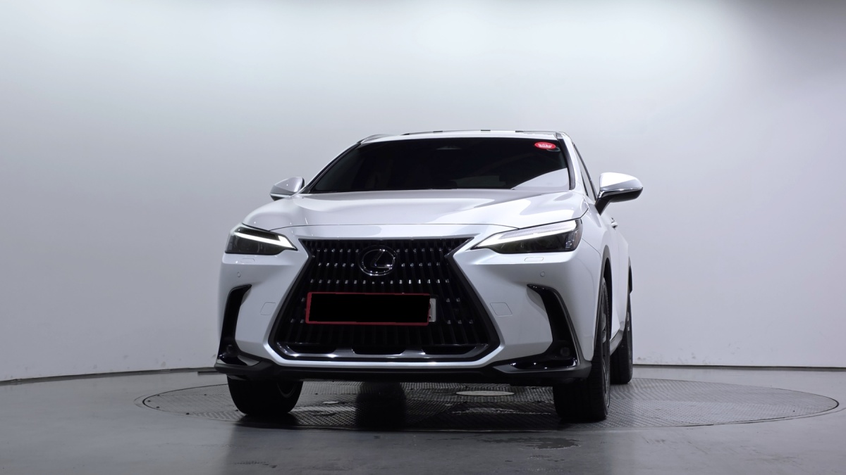Lexus NX, 2024 — фото 3 из 12