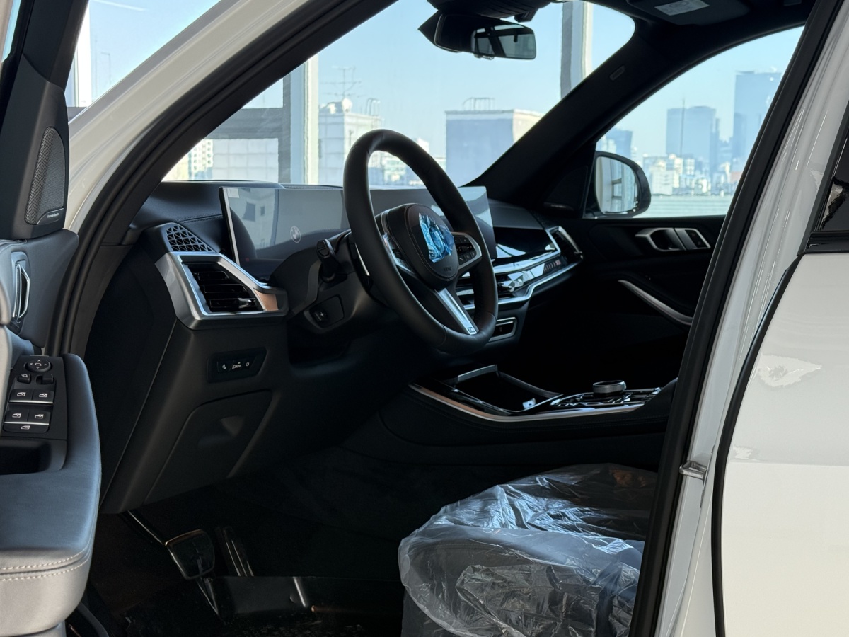 BMW X5, 2025 — фото 9 из 11