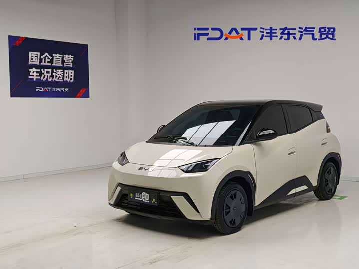 BYD Seagull, 2024 — купить в Саранске под ключ