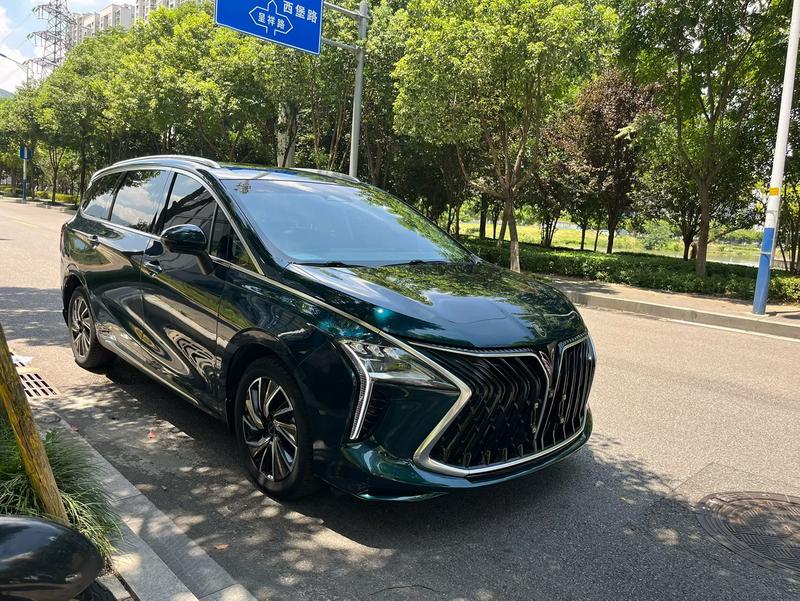 Dongfeng Forthing Yacht, 2022 — фото 3 из 10