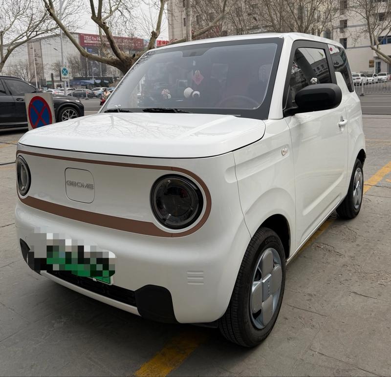 Geely Galaxy Panda Mini, 2024 — купить в Перми под ключ