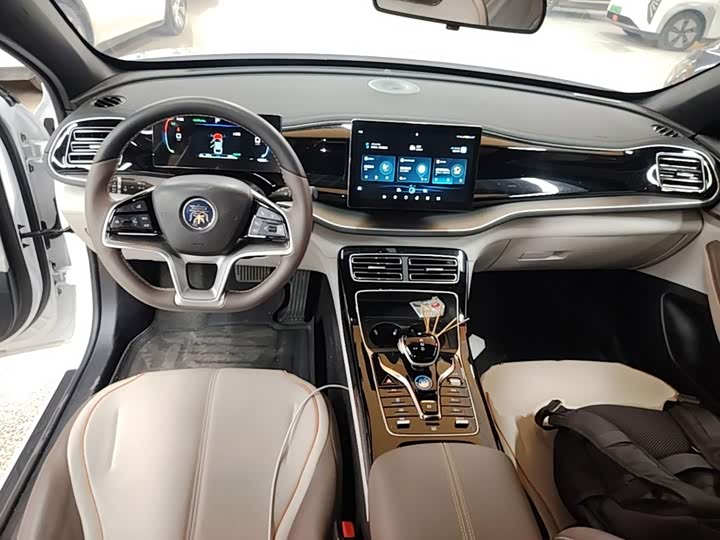 BYD Qin Plus, 2024 — фото 6 из 9