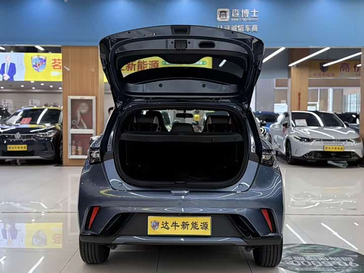 BYD Dolphin, 2025 — фото 7 из 9