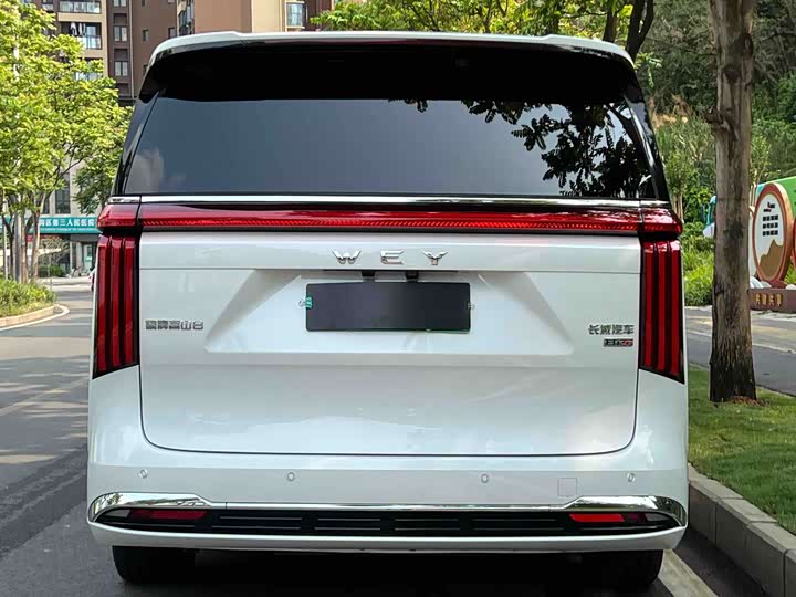 Wey 80 Hybrid, 2025 — фото 3 из 9