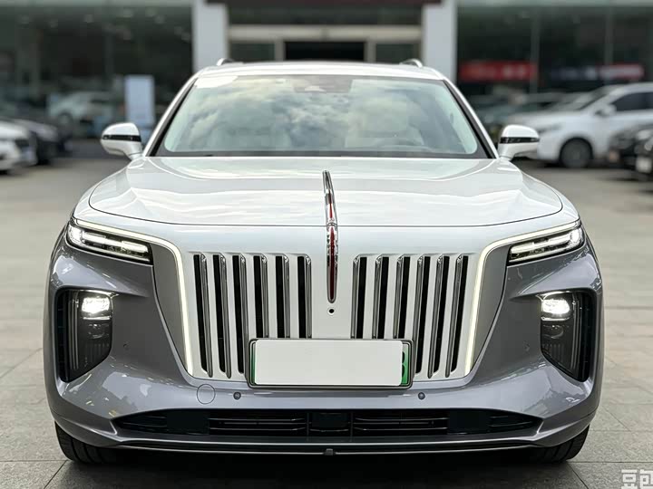 Hongqi E-HS9, 2021 — фото 2 из 9