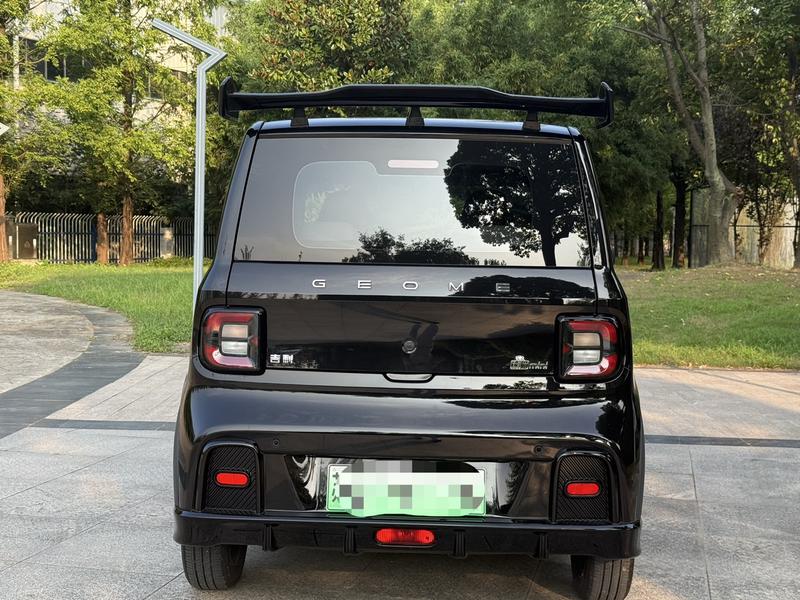 Geely Galaxy Panda Mini, 2024 — фото 6 из 12