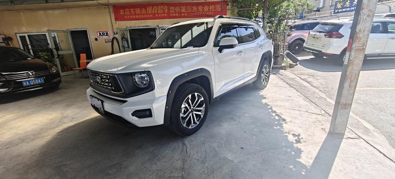 Haval H-Dog, 2025 — купить в Смоленске под ключ