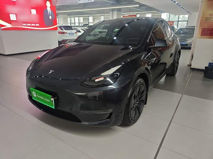Tesla Model Y, 2024 — фото 2 из 9