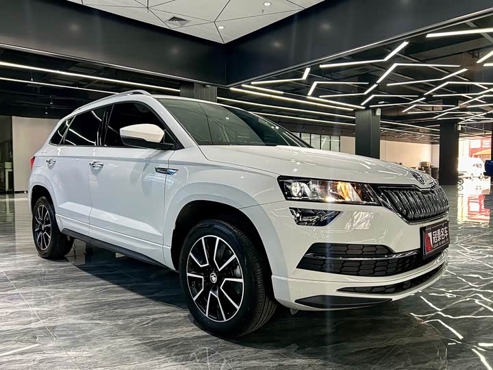Skoda Karoq, 2024 — фото 3 из 9