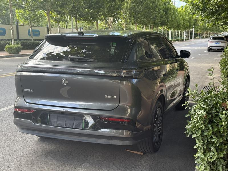 Dongfeng Aeolus L8, 2025 — фото 6 из 12