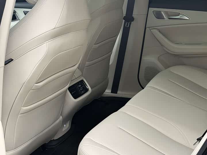 Dongfeng Forthing Xinghai S7, 2024 — фото 8 из 9