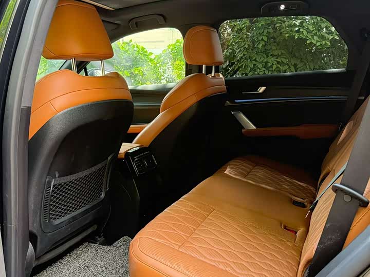 BYD Tang Hybrid/EV, 2023 — фото 4 из 5